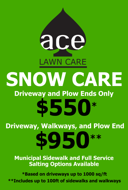 Ace Snow Care